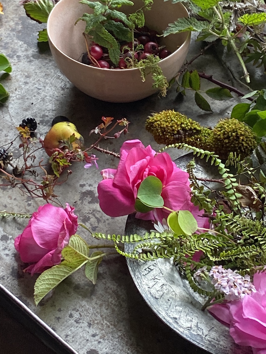 Burren Roses