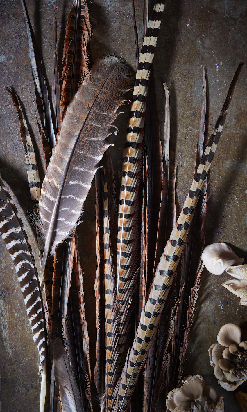 Feathers