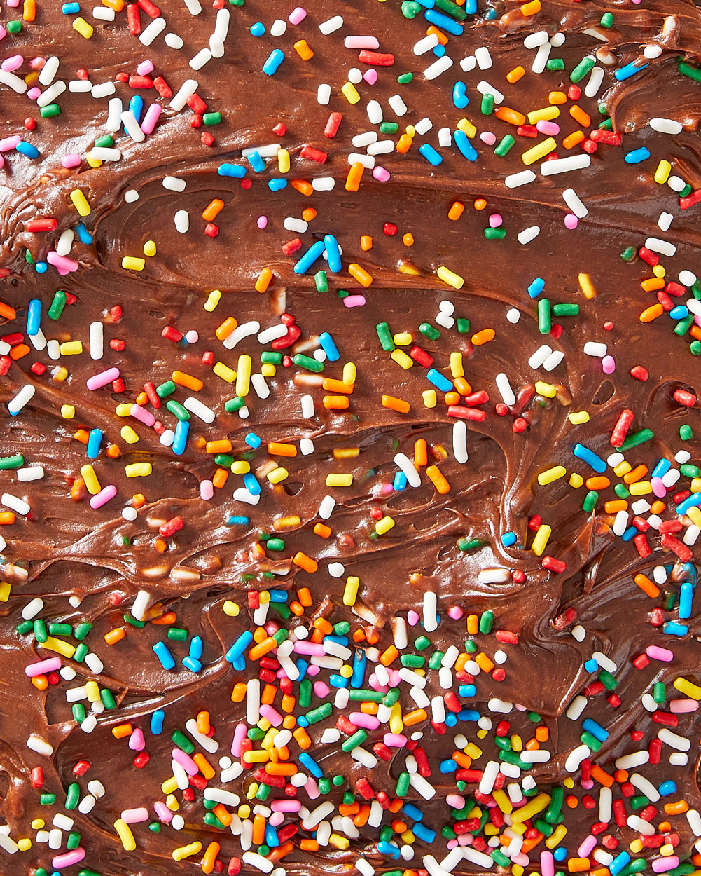 Chocolate Frosting with Sprinkles Detail