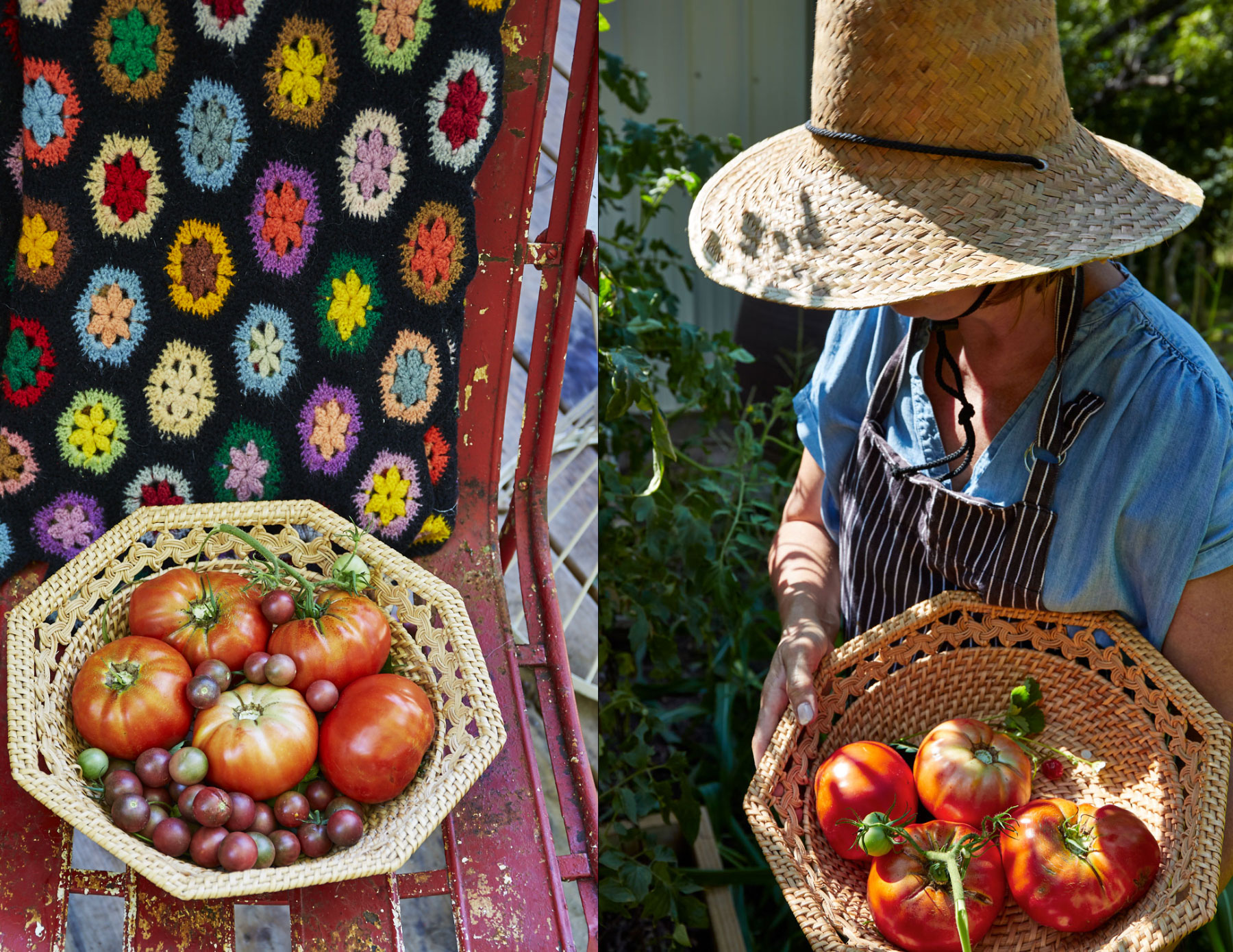 Tomatoes on quilt on red chair