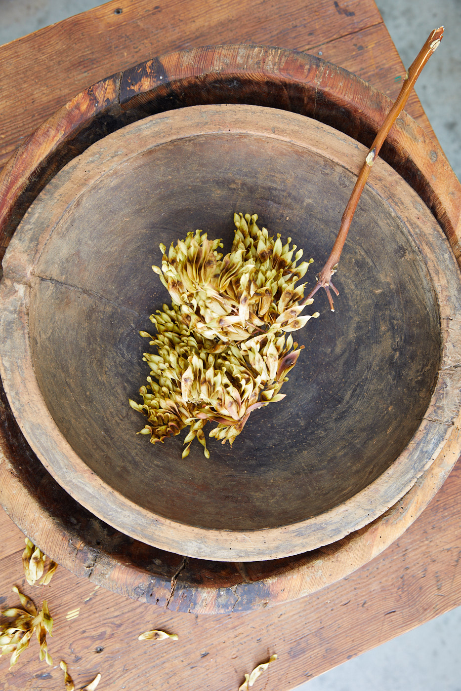 Large wood bowls with dried flowers on table