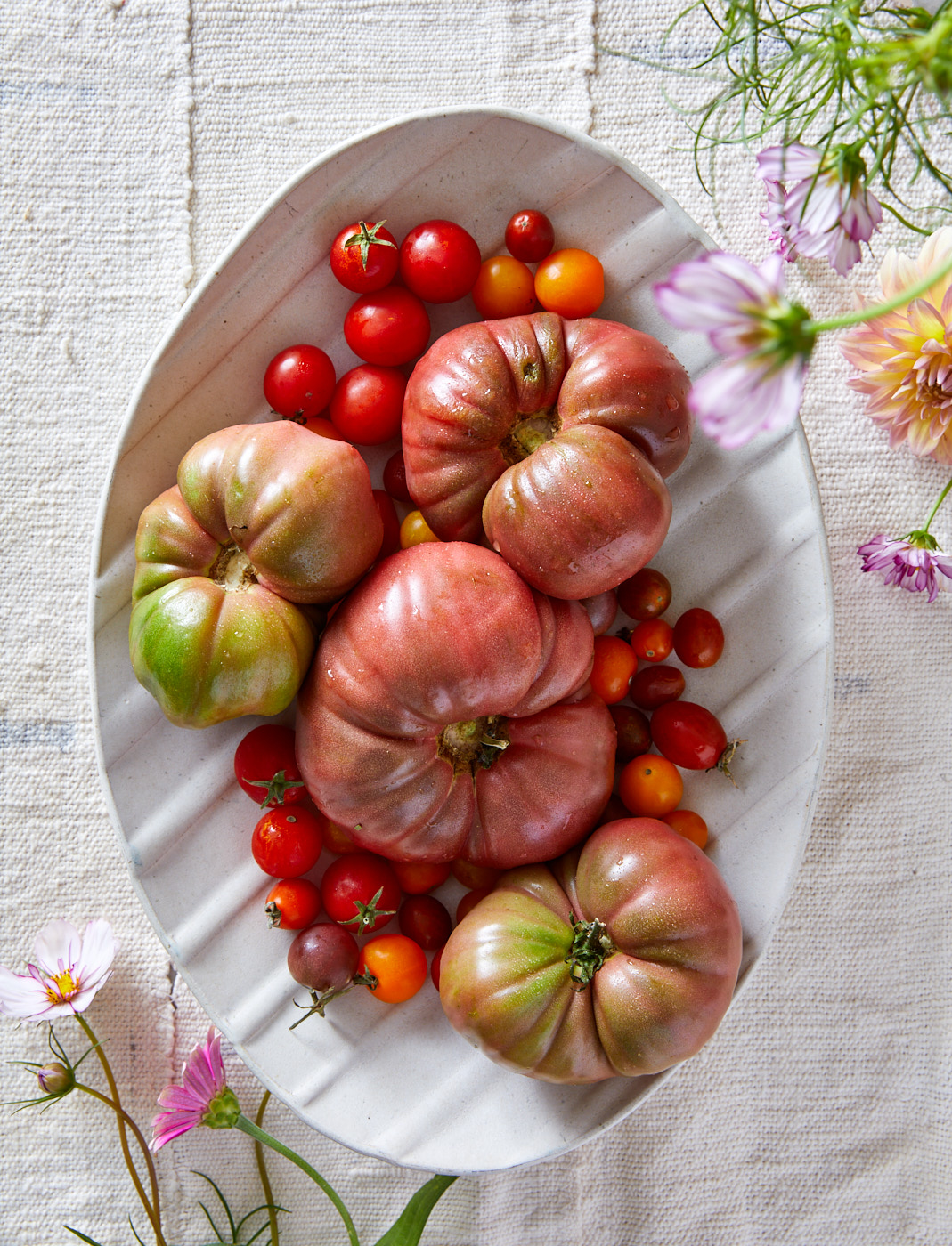 Heirloom tomatoes on white ceramic plate