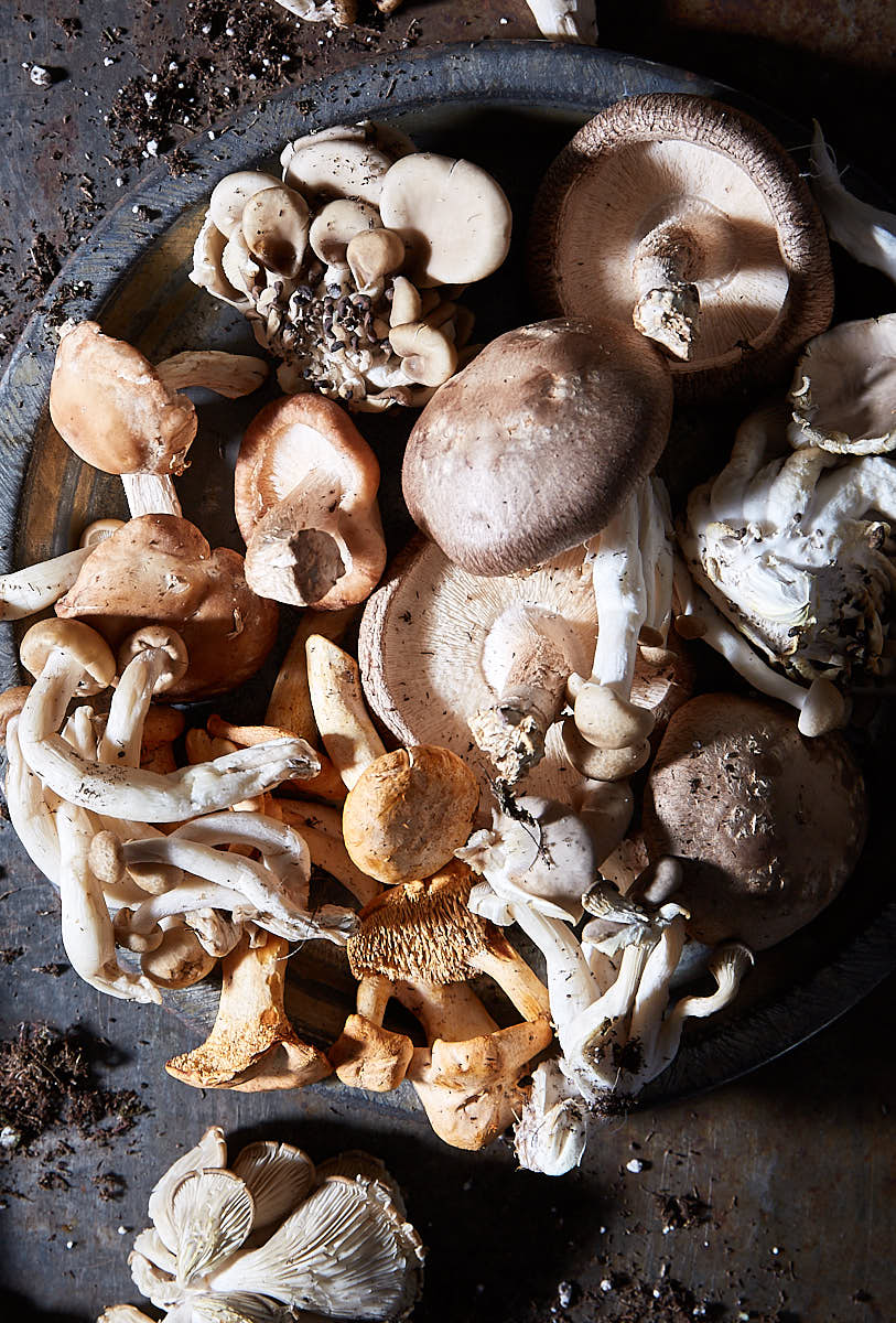 Variety of mushrooms on a plate
