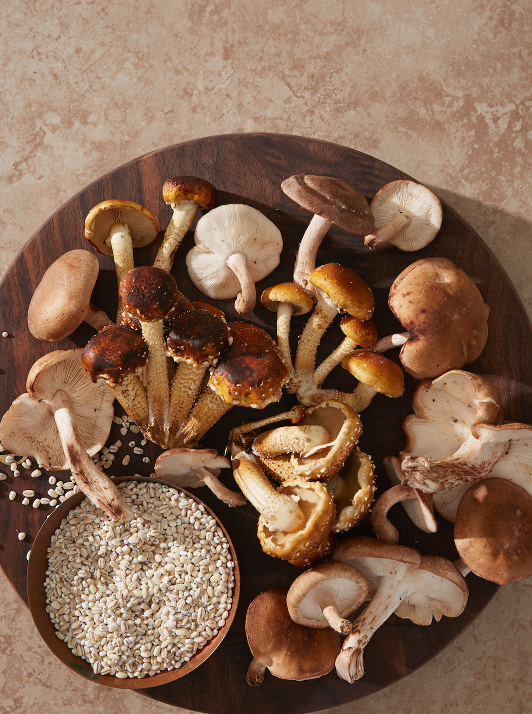 Variety of Mushrooms plated 