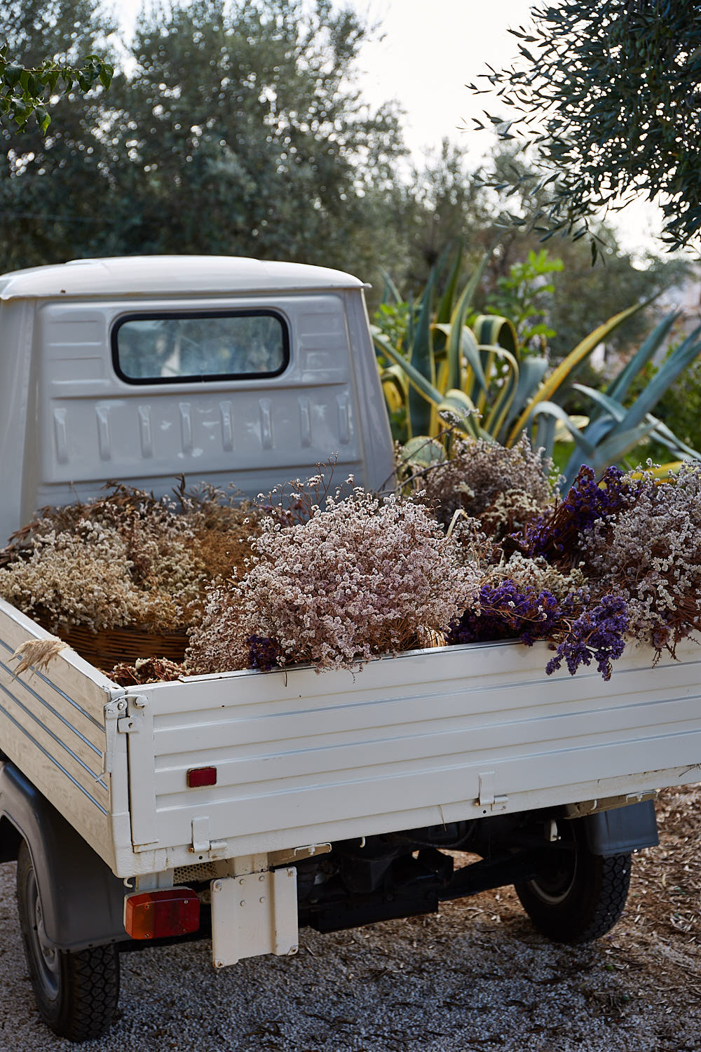 Apulian Truck With Flowers